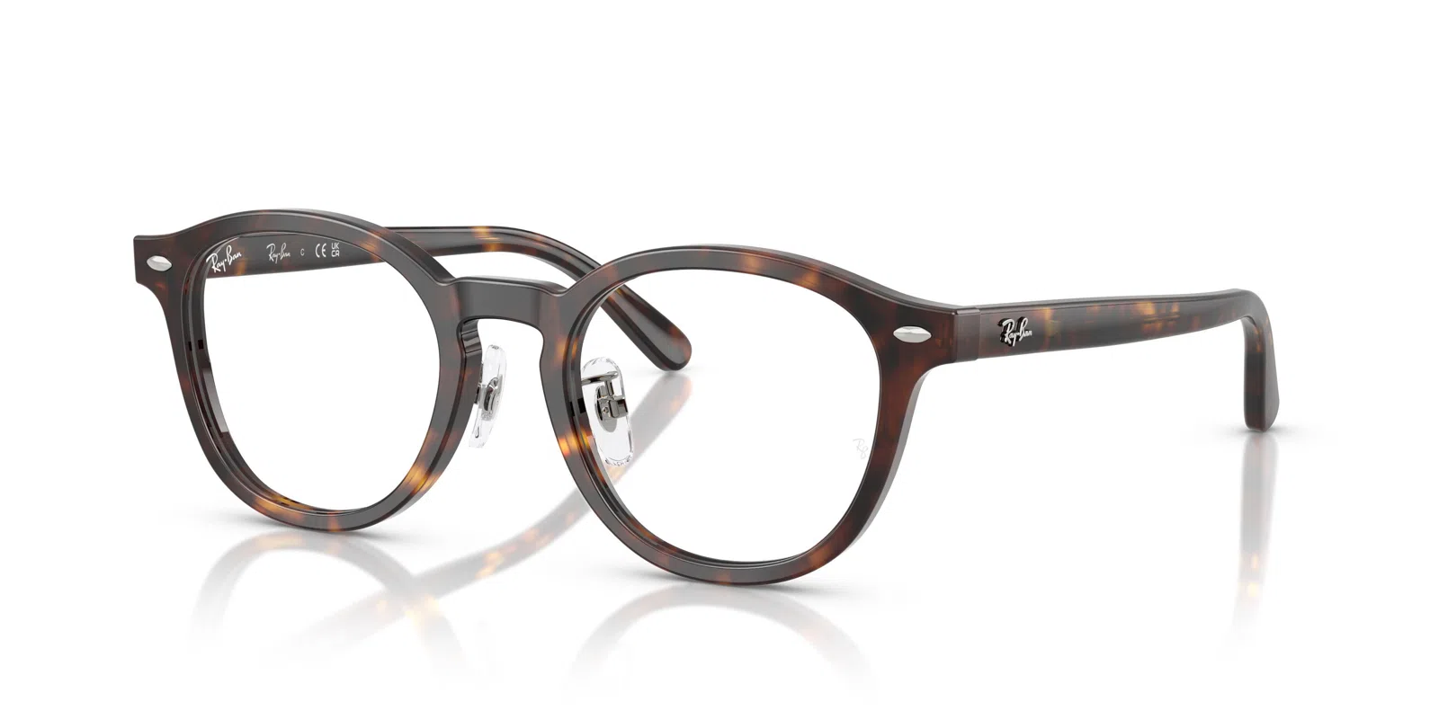 Ray-Ban 5443D Eyeglasses - view 11